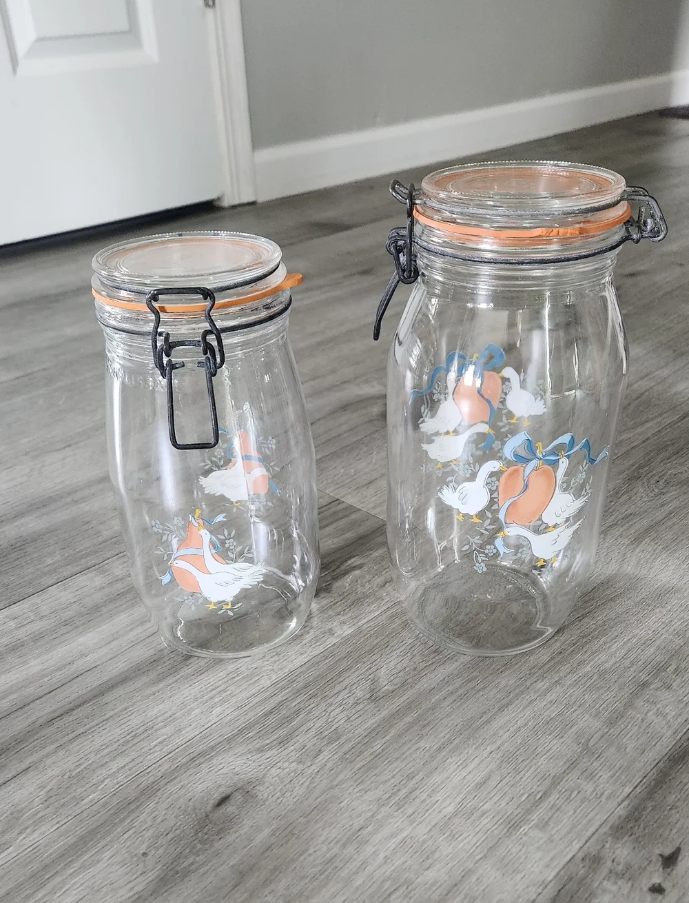 Vintage ARC France Niveau DeRemplissage Geese Duck Glass Canister 1.5L & 2L